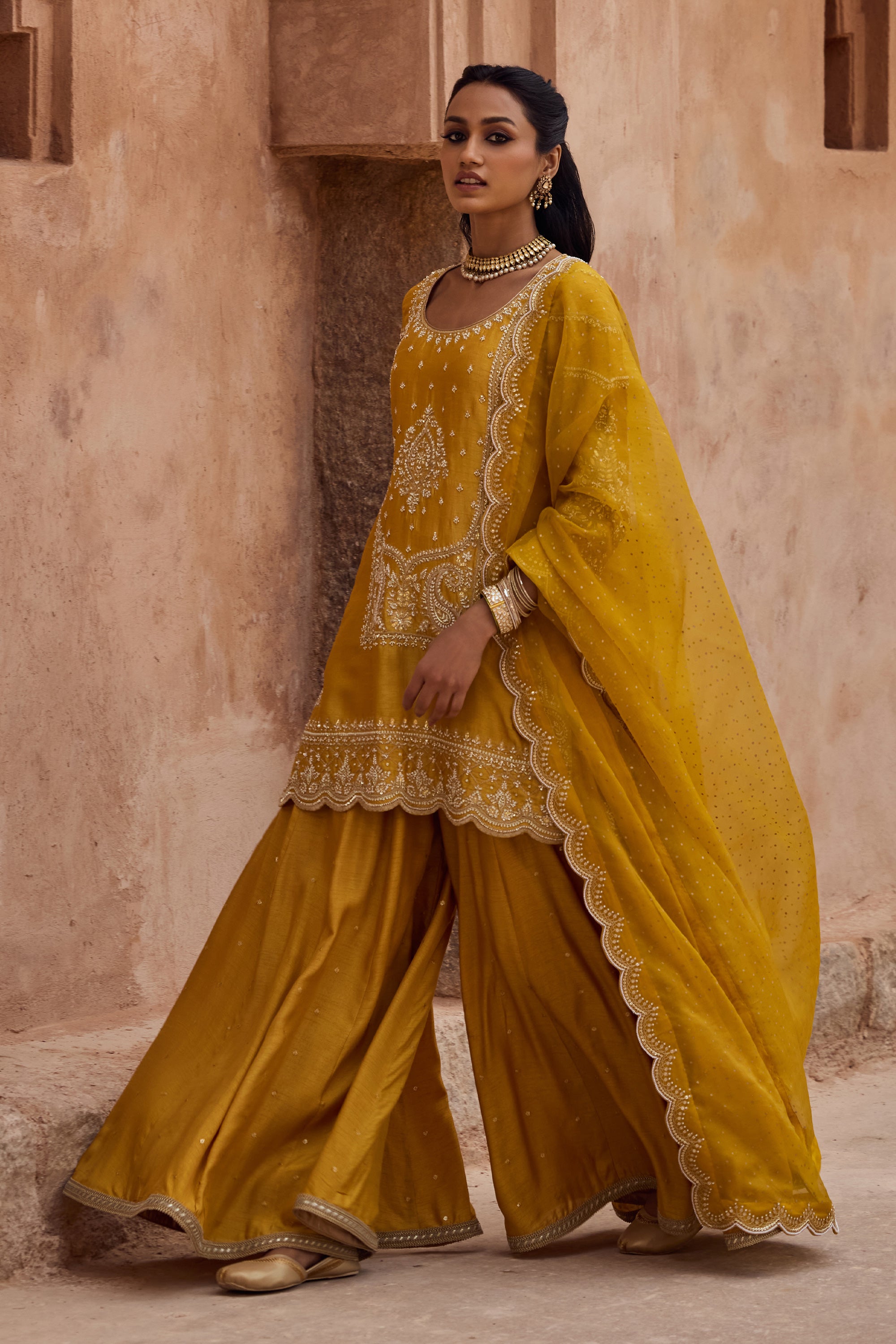 Alaya Sharara Set